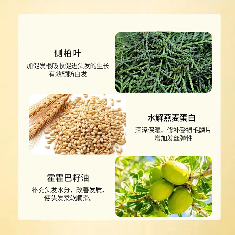 澳威雅防脱育发洗发露洗发水护发养发侧柏叶固发官方正品旗舰店