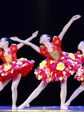 第十届小荷风采花儿那样红儿童演出服蓬蓬纱裙舞蹈表演服亮片裙新
