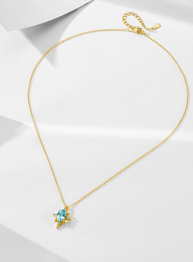 八芒星925纯银项链女轻奢锁骨链