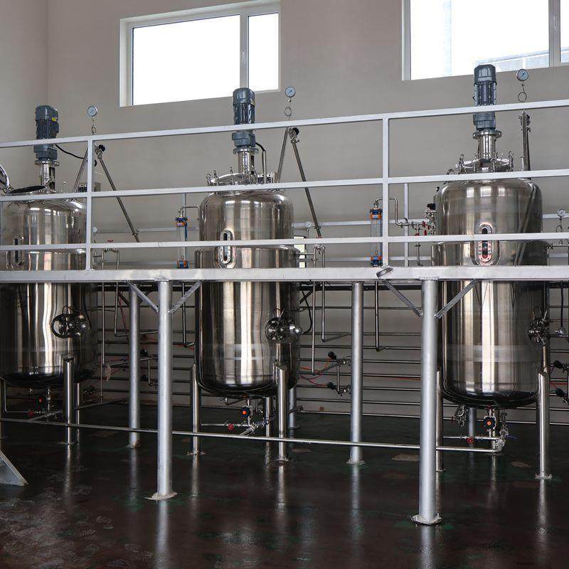 专业生产发酵罐 1000L电加热发酵罐 不锈钢好氧发酵罐瑞晟机械,淘宝优惠券,粉丝福利购,淘宝优惠卷