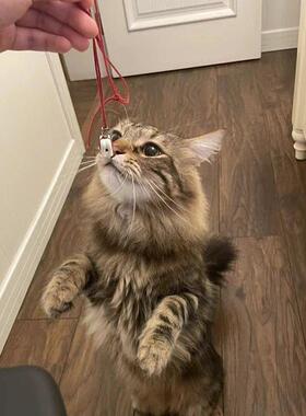 古法手工编织小猫咪红绳项链好可爱猫猫鲤鱼锁骨链简约日常百搭女