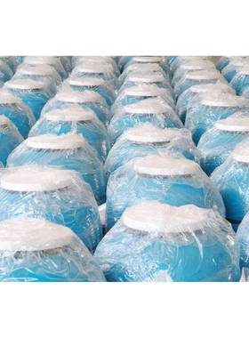 柯仕650#顶式过滤沙缸泳池过滤器一体化过滤器