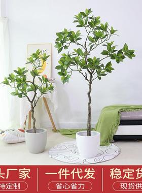 仿真绿植非洲茉莉室内家居落地假树植物仿真盆栽装饰造景盆景