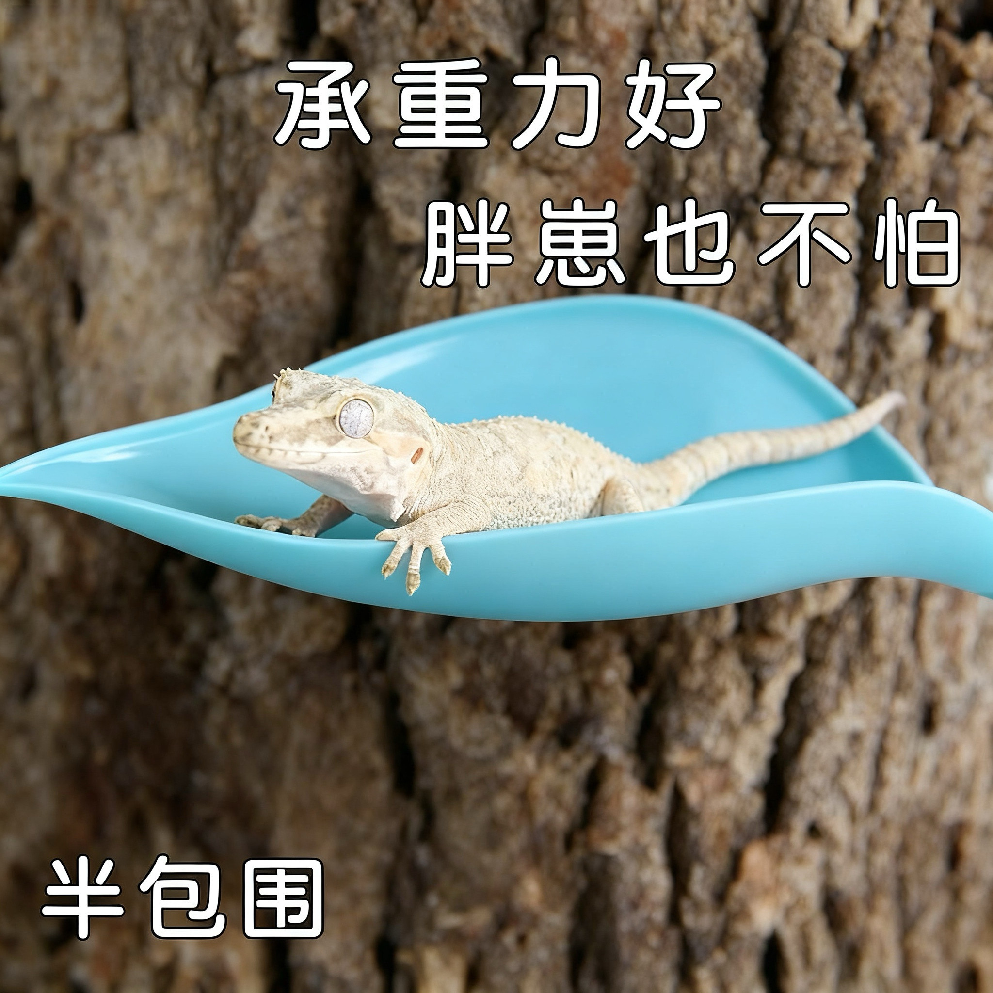 爬宠悬浮躲避窝 睫角守宫姥爷树蛙专用 雨林造景吸盘攀爬仿真植物,淘宝优惠券,粉丝福利购,淘宝优惠卷