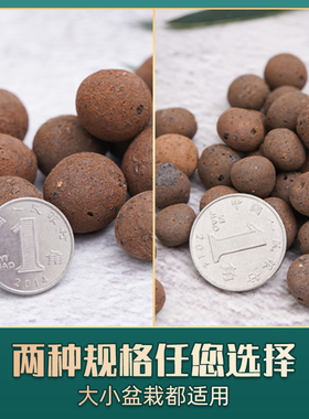 现货速发陶粒花用铺面淘粒养花透气花盆垫底陶粒土空心轻质水培陶