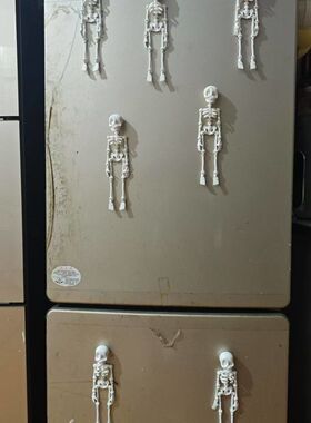 3D打印骷髅骨架人关节可活动儿童万圣节玩具礼物冰箱贴精致模型