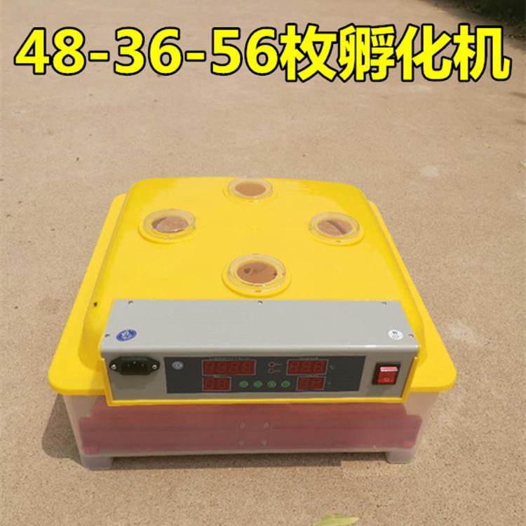 Egg incubator small mini 48 pieces incubation machinery and equipment 36 plum blossom 56 poultry household incubator chassis