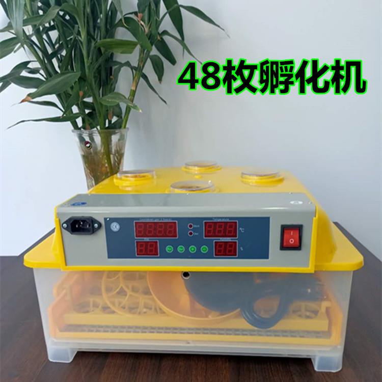 Egg incubator small mini 48 pieces incubation machinery and equipment 36 plum blossom 56 poultry household incubator chassis