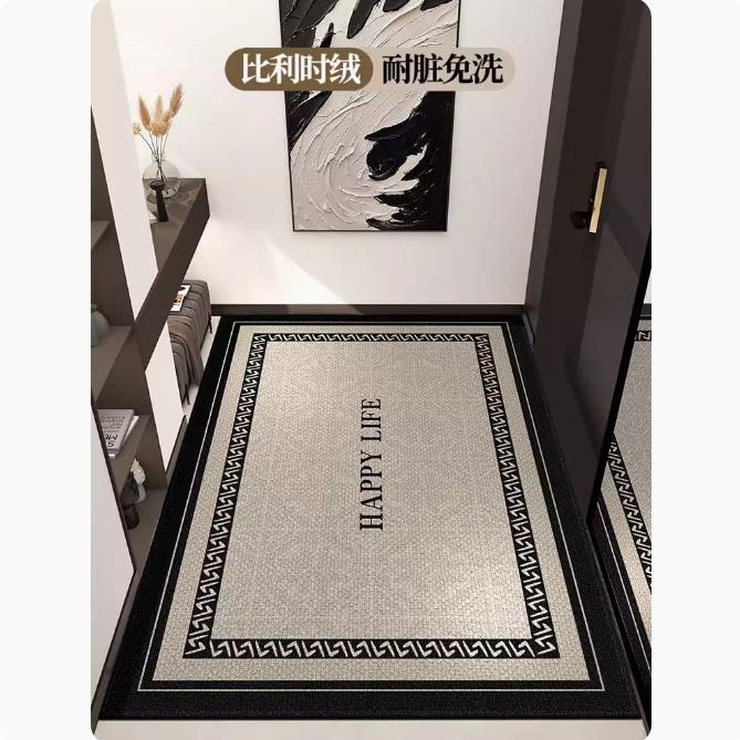 入户门地垫入户门垫门口进门脚垫地毯2024新款家用大门垫子高级感 - 图0