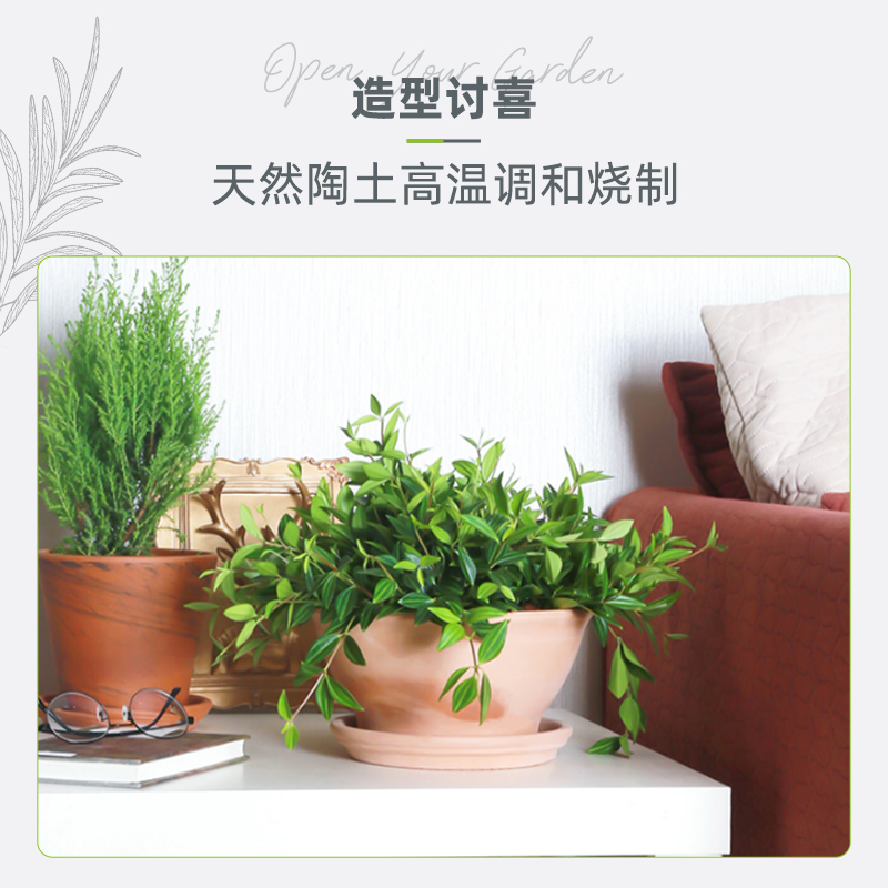 帝罗马丽莎碗型盆摩卡系列矮盆阳台葡萄风信子种球花盆陶土大