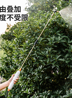电动喷雾器充电式打药机便携式浇花浇水喷枪消毒家用新型小型喷壶