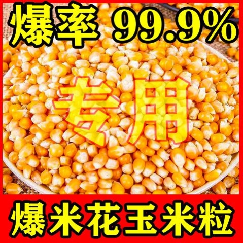 玉米碎玉米粒喂鸡鸭吃的饲料50斤20斤10斤装干玉米包邮鸽粮喂鸽子-图0