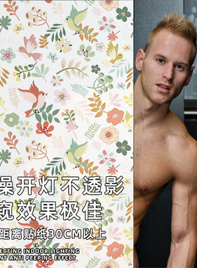 洗澡不透人不透影自粘玻璃贴纸