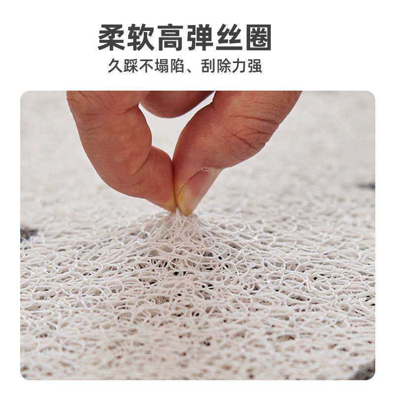 腊肠狗地垫丝圈入户门垫家用玄关进门防滑脚垫大门口门外卡通地毯,淘宝优惠券,粉丝福利购,淘宝优惠卷