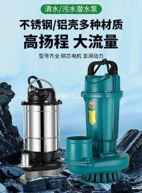 国标人民潜水泵220V380V清水泵农用灌溉泵家用大流量高扬程抽水泵