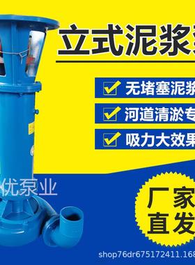 NL立式泥浆泵浮筒泥浆泵河道清淤污泥泵液下无堵塞耐磨泥浆泵抽沙