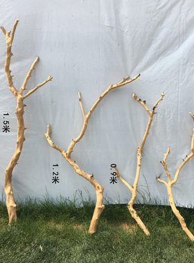 干树枝原木杈枯枝干枝枯木树干鸟架造型壁挂衣架吊顶树枝装饰摆件