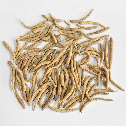 贵州原始森林野生太子参中药材正品麦冬孩儿参煲汤儿童成长汤500g - 图3