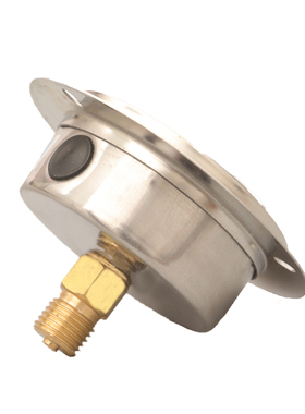 YN60ZT轴向带边耐震压力表0-1.6/2.5/40Mpa水压油压气压液压