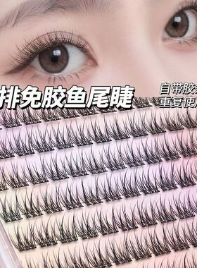 自然新款免胶懒人婴儿鱼尾假睫毛水貂新手仿真三部曲日常分段素颜