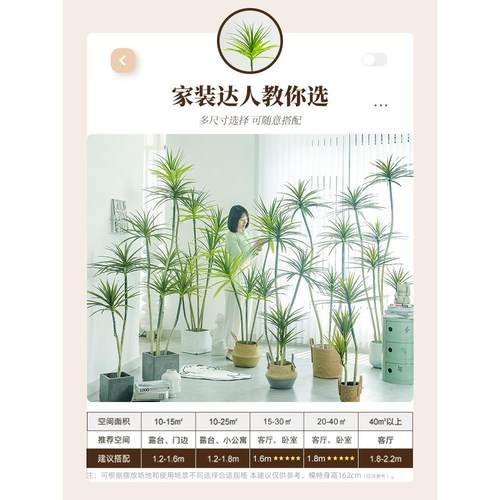 大型玄关电视柜落地摆件龙舌兰轻奢绿植仿真植物盆栽客厅装饰摆件 - 图0