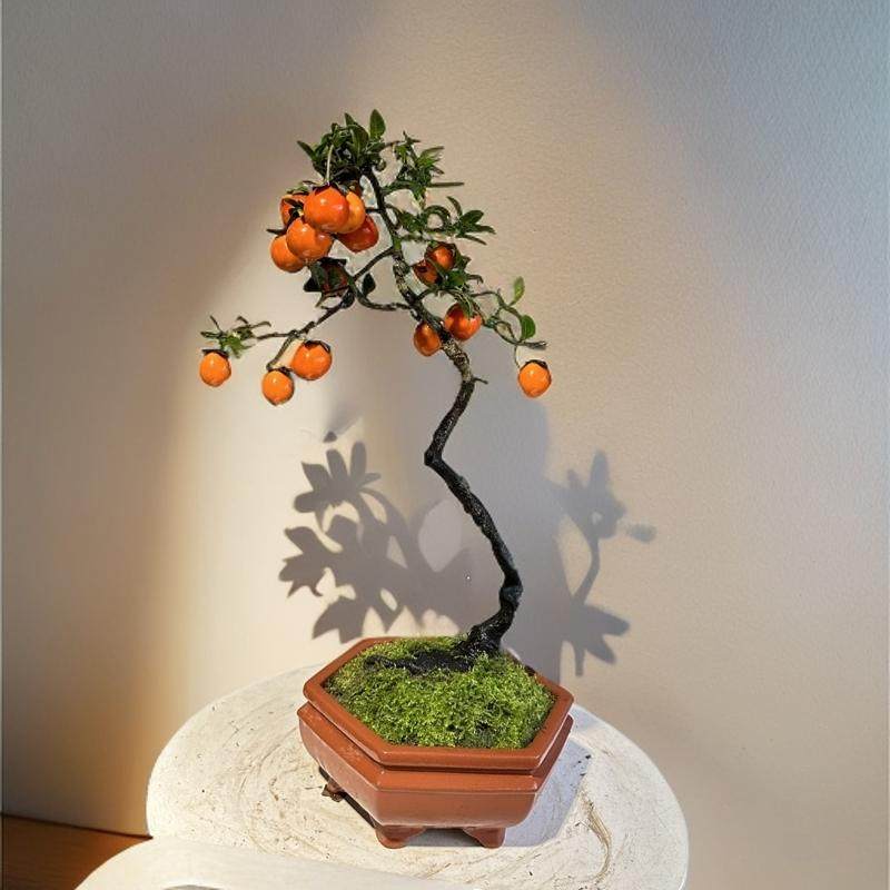 金弹子盆栽老鸦柿子绿植阳台树苗花卉室内植物办公桌花卉阳台果树,淘宝优惠券,粉丝福利购,淘宝优惠卷