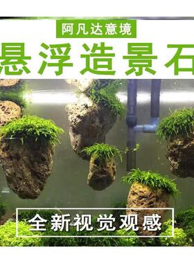 莫斯浮石鱼缸造景阿凡达