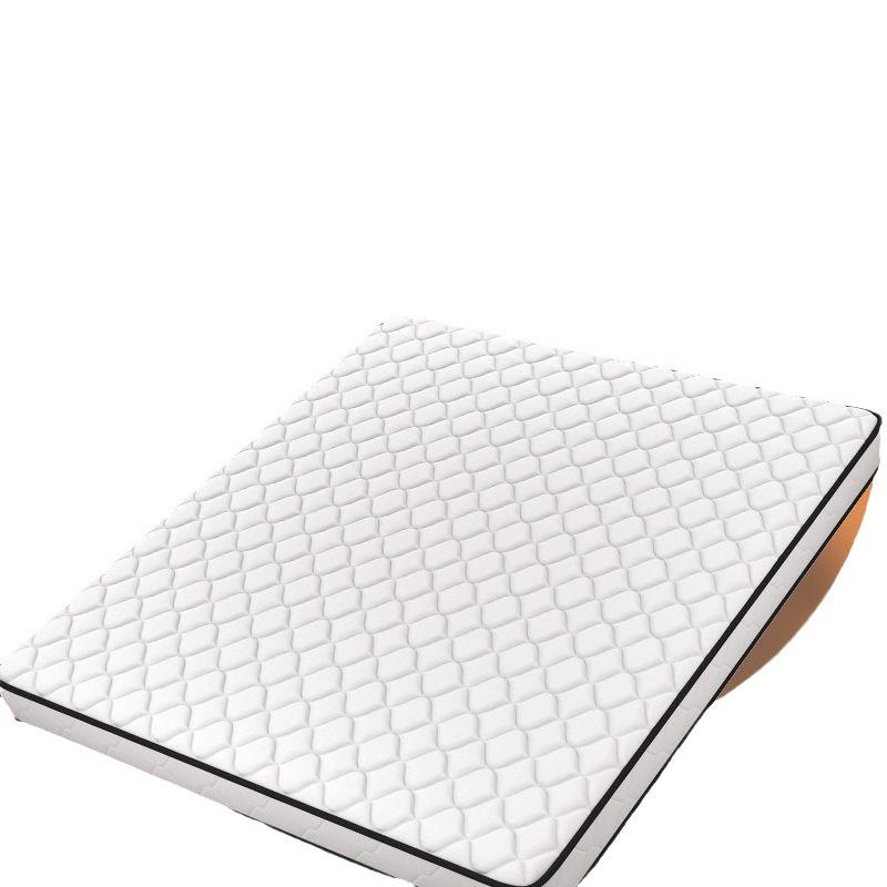 椰棕床垫棕垫硬垫护脊棕榈垫天然家用专用宿舍床垫 - 图3