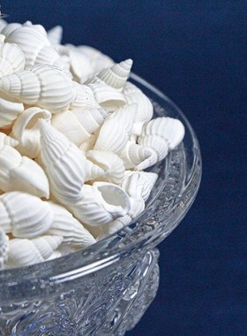 渡心缘小白海螺修曼茶罗宝石供曼扎宝石七宝八供装藏七宝石五彩石