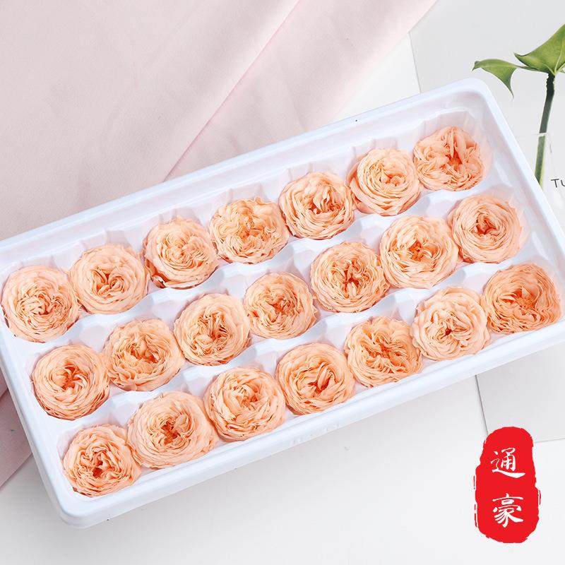 永生玫瑰干花A级奥斯丁巧克力粉色红色蓝色玫瑰花头永生花材DIY,淘宝优惠券,粉丝福利购,淘宝优惠卷