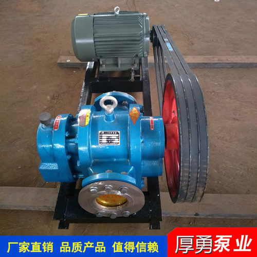 高粘度泵 LC罗茨泵 涂料油漆黏稠物料输送泵 自吸式转子泵 厚勇 - 图2