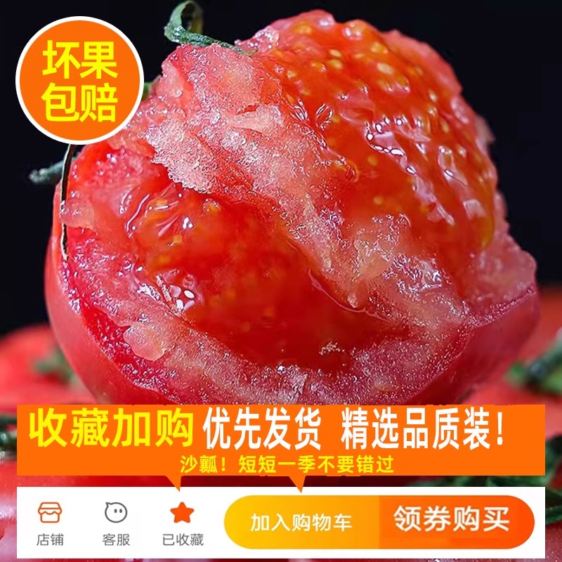 正宗沙瓤西红柿子现摘当季生吃水果大番茄新鲜自然熟普罗旺斯整箱