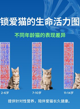 Hill's希尔思希尔斯老年猫粮专用粮7岁以上希尔斯进口肠胃活力6磅