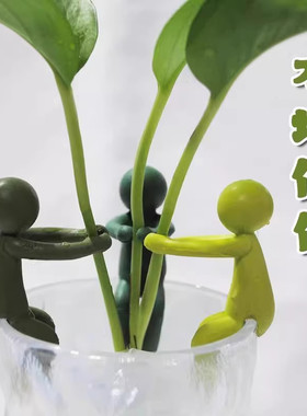 桌面水培植物生长伴侣防倒伏