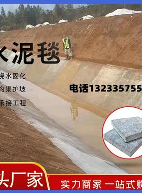 混凝土新型水泥毯护坡铺路沟渠河道改造浇水固化鱼塘固坝固土毯