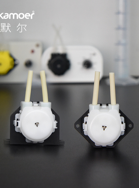 卡默尔蠕动泵12v泵实验室循环帮浦水泵压头24V流速调速耐腐蚀自吸