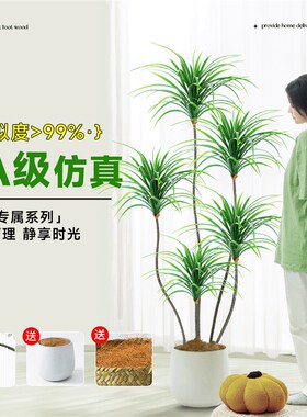 好货仿真绿植高端轻奢仿生假树龙血树客厅大型盆栽落地摆件造景假