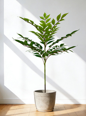 仿真绿植漆木叶香椿树高端轻奢大型假树植物盆栽家居景观落地造景