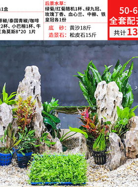 鱼缸水草造景套餐天然假山松皮石全套天然草缸真植物装饰生态布景