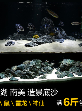 枯山石南美鼠鱼底砂三湖造景黄色金细沙三湖底沙菲律宾白沙化妆砂