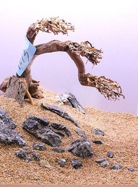 鱼缸造景骨架定制来图定制成都上门定做景观青龙石松皮石沉木骨架
