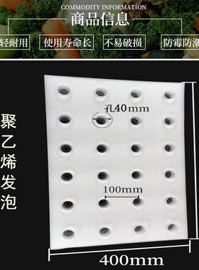 水培蔬菜漂浮定植板无土栽培种菜EVA海绵定植篮海棉固定浮板育苗