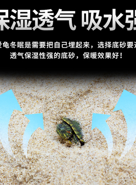 乌龟专用细沙龟沙产卵冬眠孵化下蛋爬宠鱼缸底砂造景水草装饰沙子