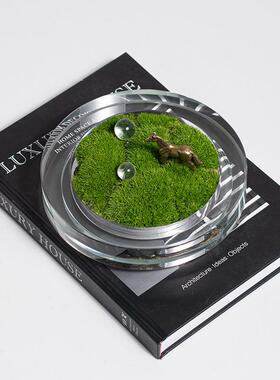 现代简约轻奢永生藓苔真苔藓绿YB-DZ-HY花艺盆景洽植谈桌装品饰摆