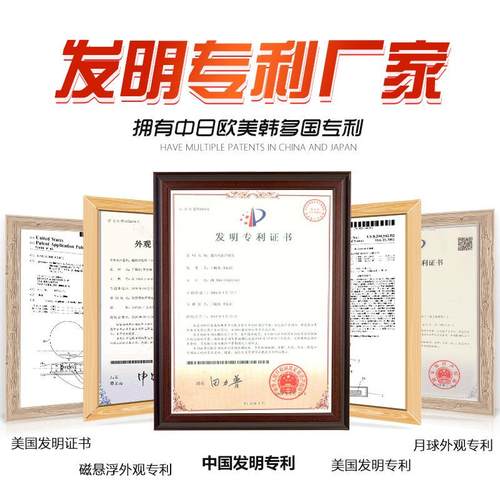 桌面植物盆栽室内绿植仿真可种多肉花苗diy欧式ins风植物摆件 - 图2