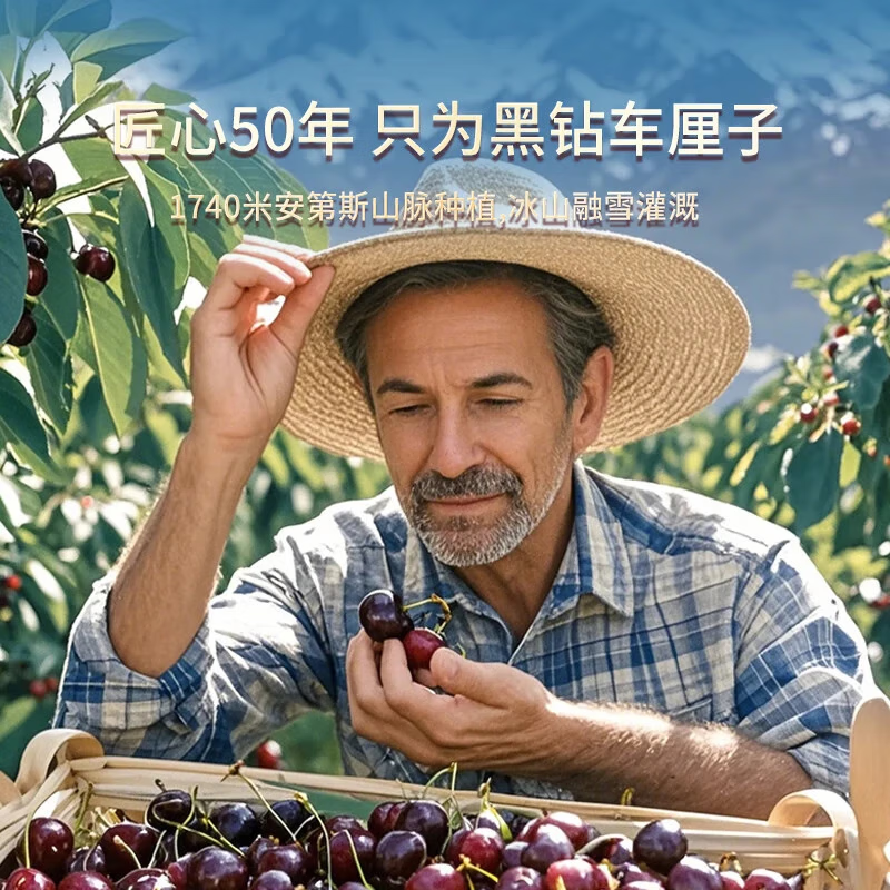 限定礼盒丨车厘子5斤装新鲜水果包邮3/4/5j智利进口大樱桃拉宾斯,淘宝优惠券,粉丝福利购,淘宝优惠卷