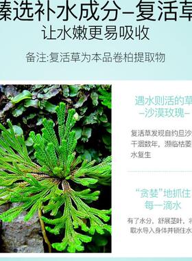 覆活草睡眠面膜免洗正品涂抹式女补水保湿睡眠收缩毛孔抗皱