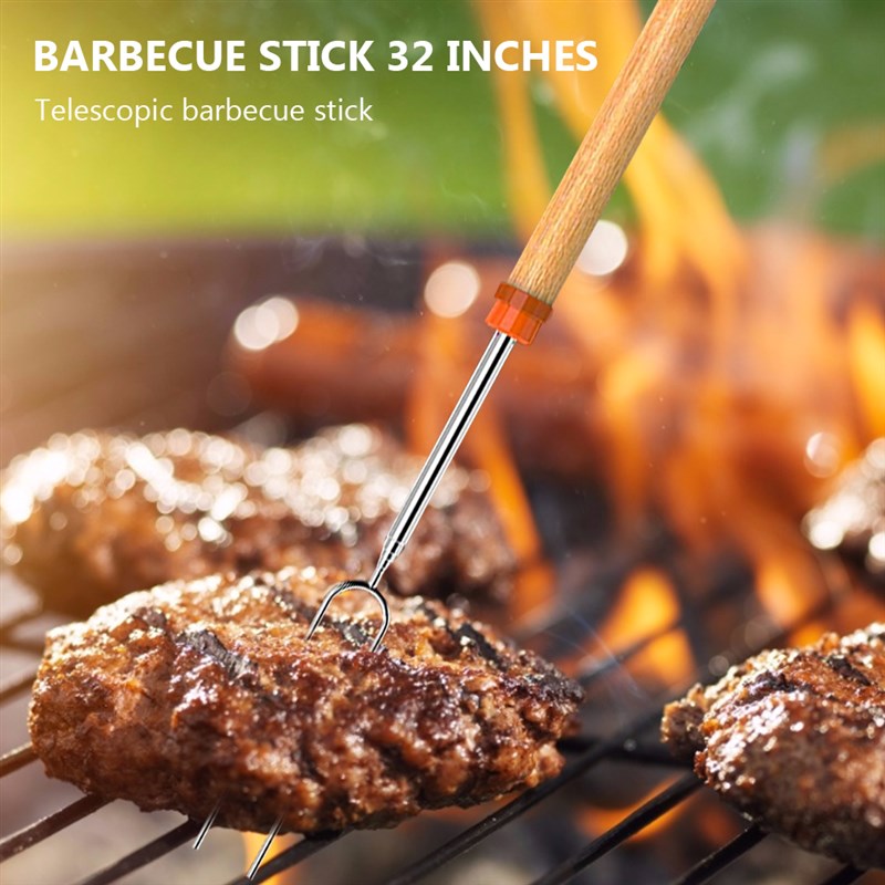 Stainless Steel Roasting Marshmallow Stick Set Extendable - 图1