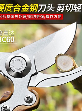园艺修枝剪专用园林绿化修剪果树剪子花剪花艺修花粗枝剪刀工具