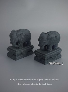 再也不担心问我l有没有对象创意阳台盆景装饰造景仿真对象摆